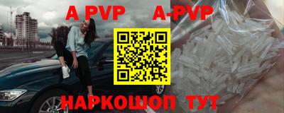 амф Сланцы
