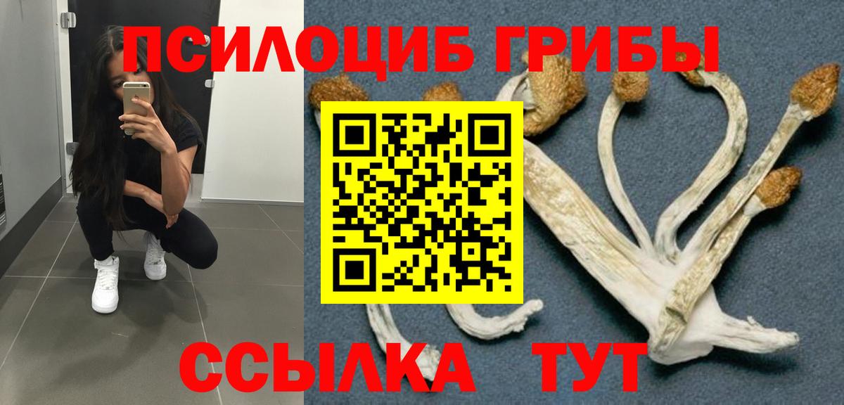 где продают   Вход с VPN  Ржев  Псилоцибиновые грибы мухоморы 
